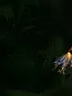Aspaveli - walker hero