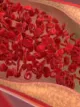 Blood in vain platelets