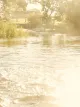 Banner GettyImages-913017734-72dpi