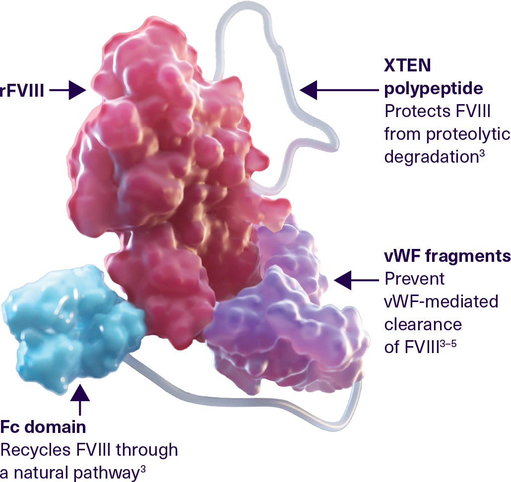 ALTUVOCT-molecular-design