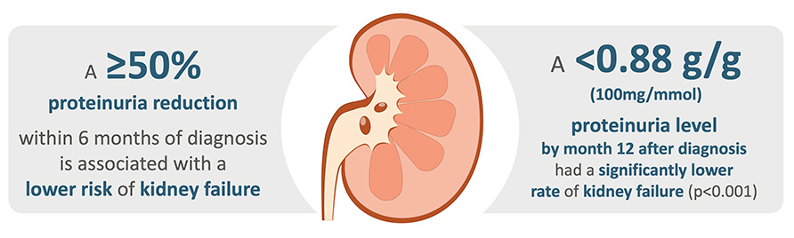 Renal Diagram