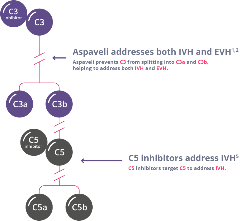 Aspaveli targets C3 to address both IVH and C3-mediated EVH