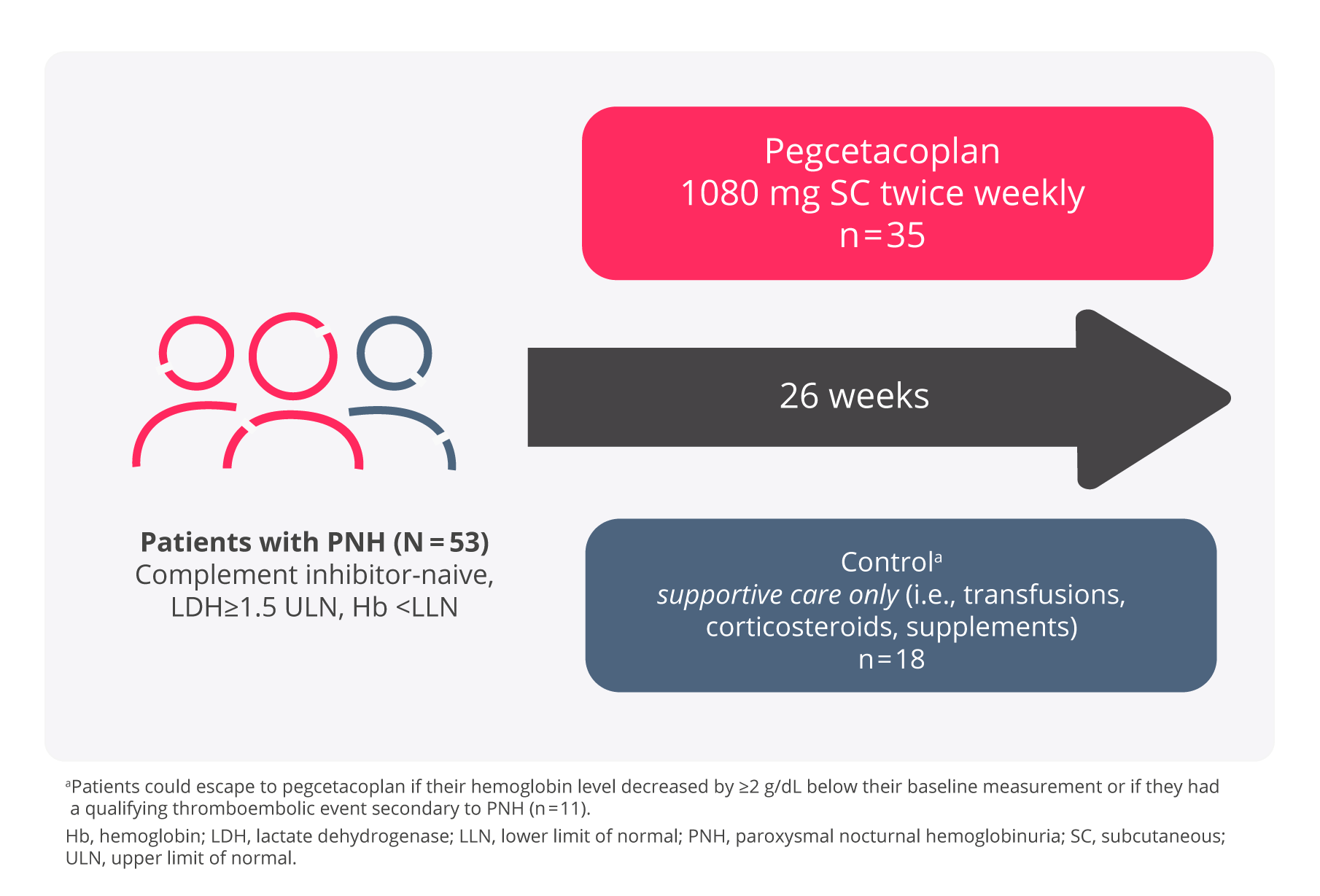 Aspaveli - SE - patients 26 weeks