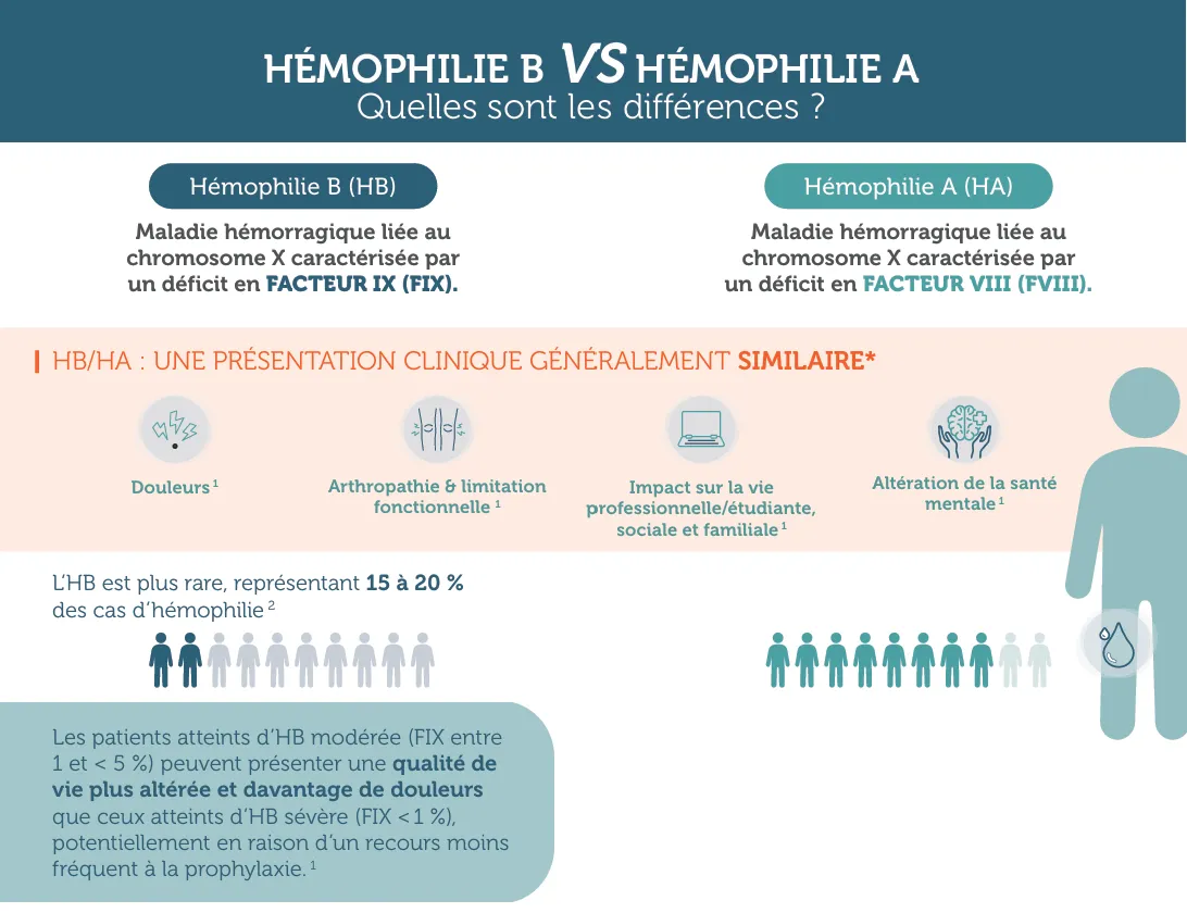 HA vs HB : Quelles différences ? 