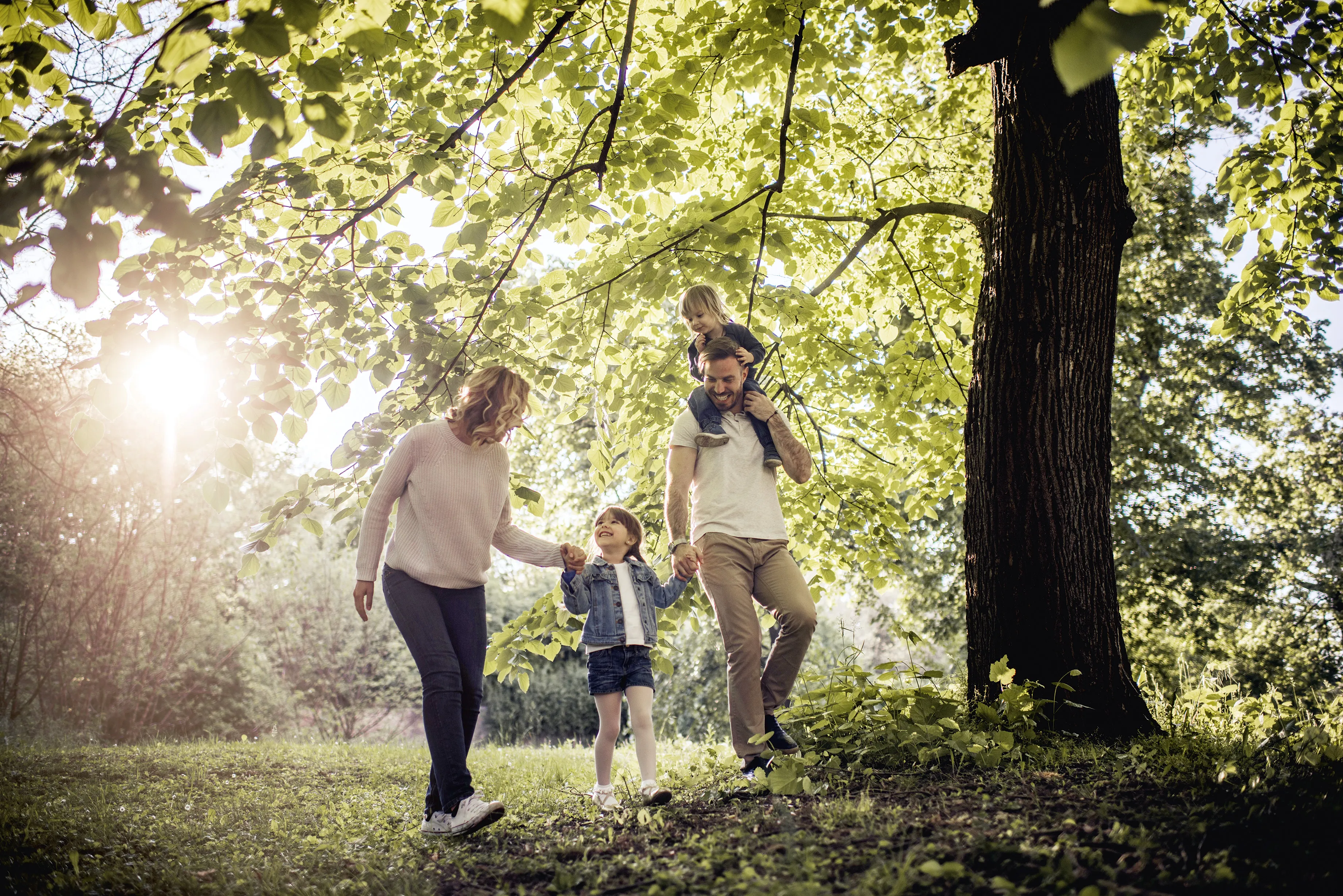 Vers la normalisation de l'hémostase