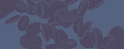 Close-up illustration of multiple red blood cells floating