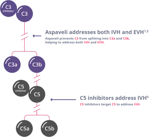 Aspaveli targets C3 to address both IVH and C3-mediated EVH