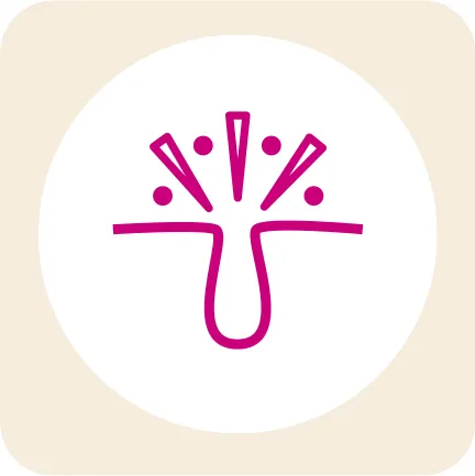 Non-haematological TEAEs icon