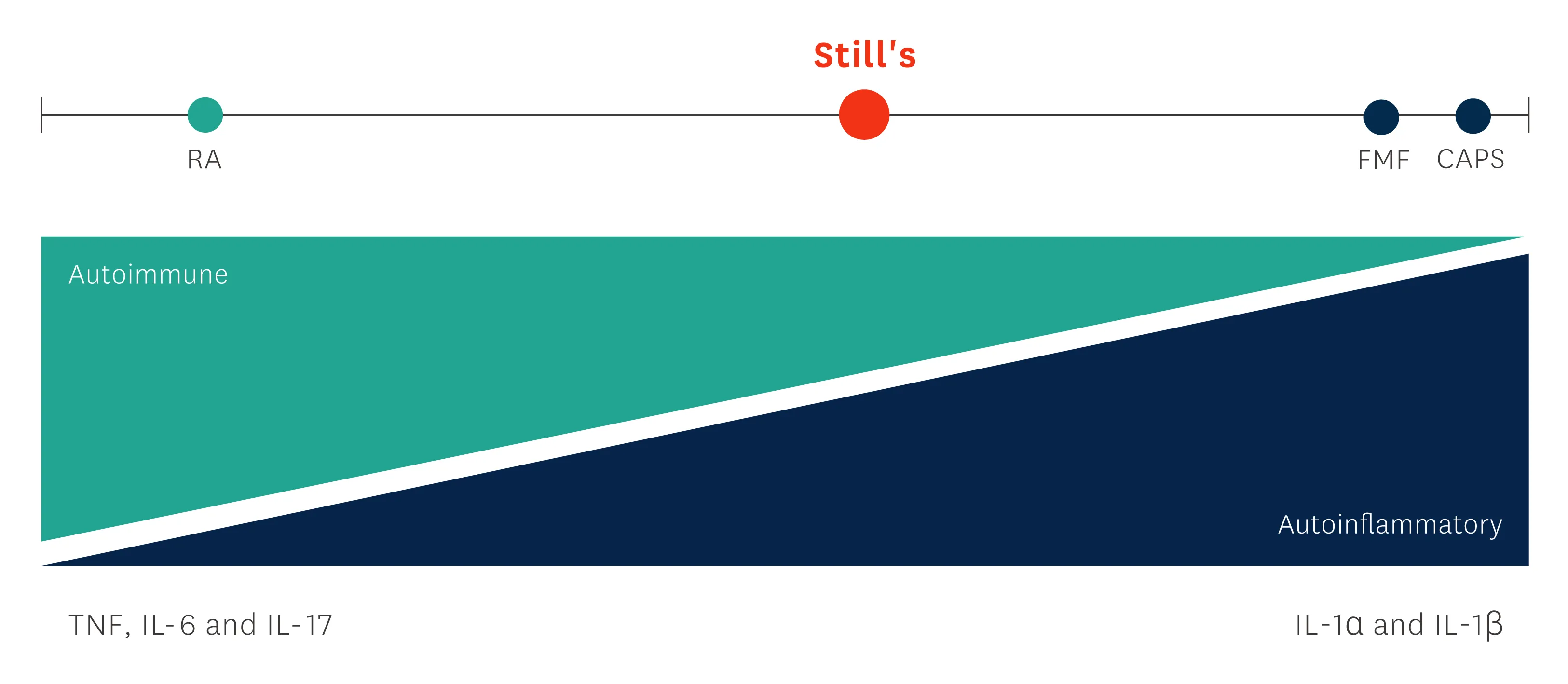Stills symptoms