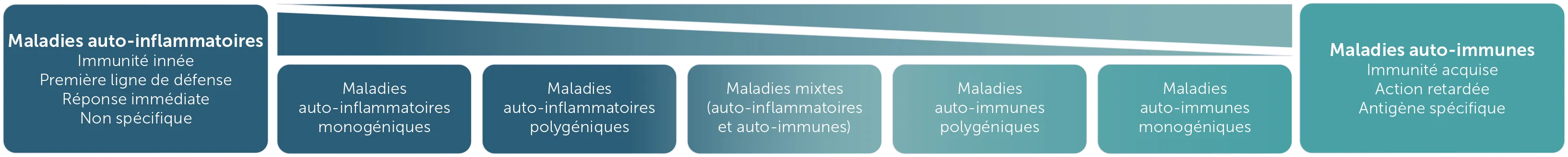 Continuum des maladies immunologiques