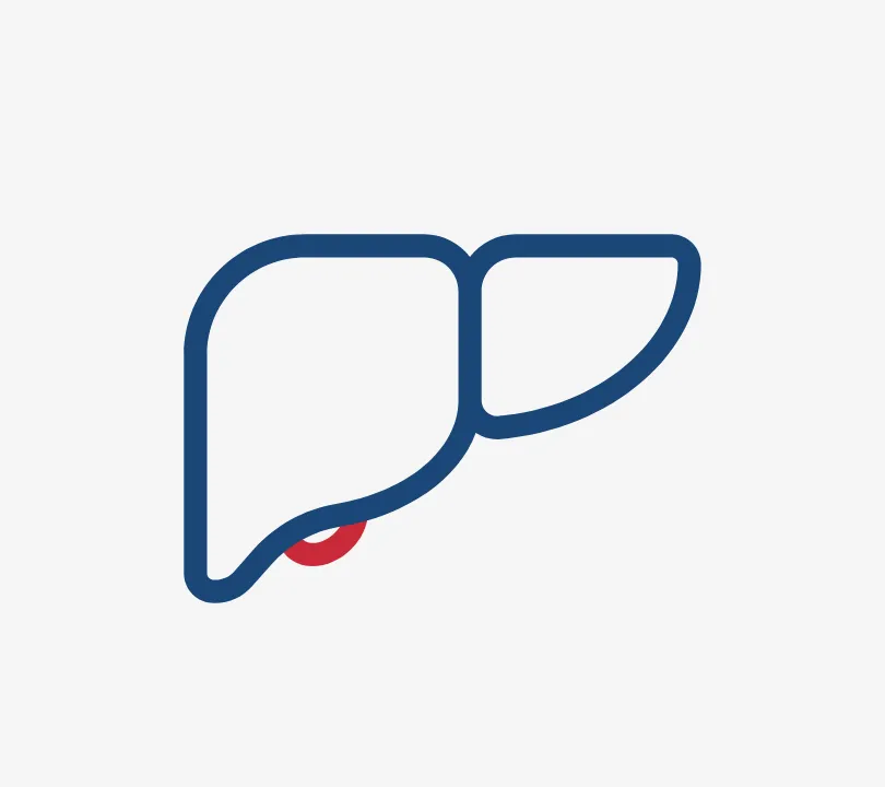 Liver icon